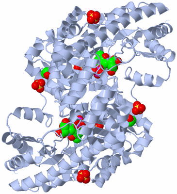 Image Biological Unit 1