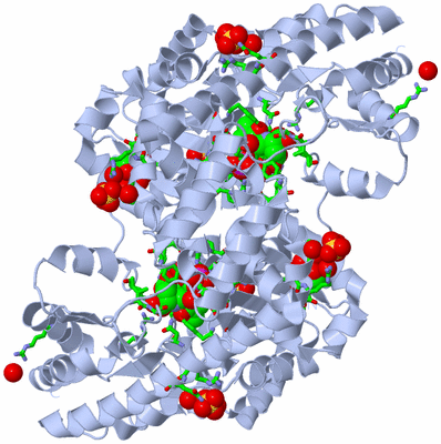 Image Biol. Unit 1 - sites