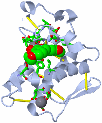 Image Biol. Unit 1 - sites