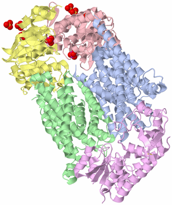 Image Biological Unit 1