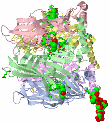 Image Asym./Biol. Unit - sites