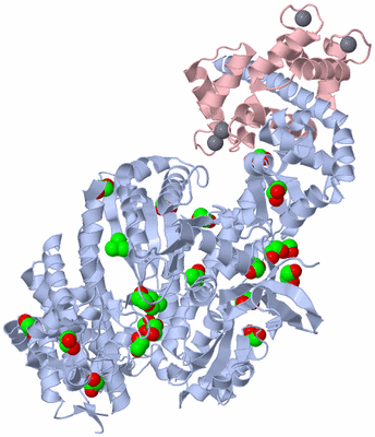 Image Asym./Biol. Unit