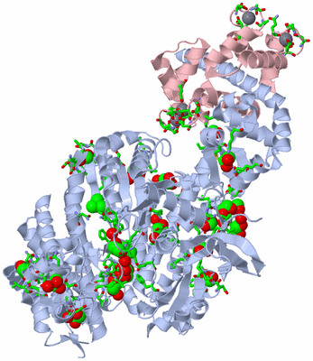 Image Asym./Biol. Unit - sites