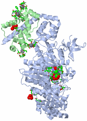 Image Asym./Biol. Unit - sites