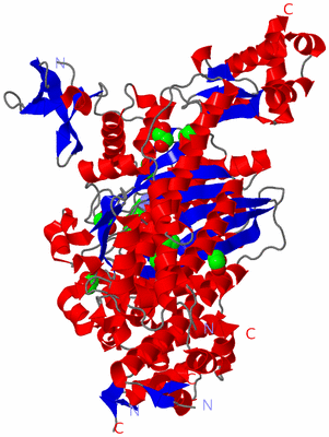 Image Asym./Biol. Unit