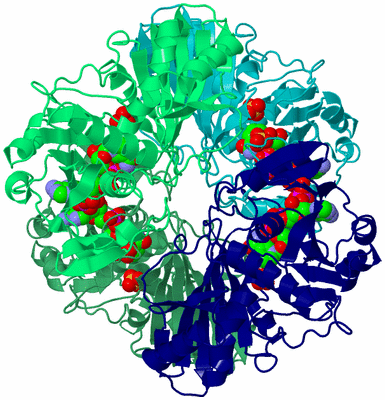 Image Asym./Biol. Unit