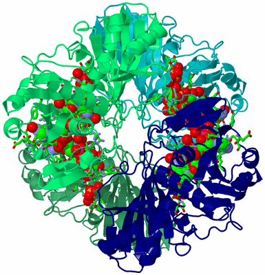 Image Asym./Biol. Unit - sites