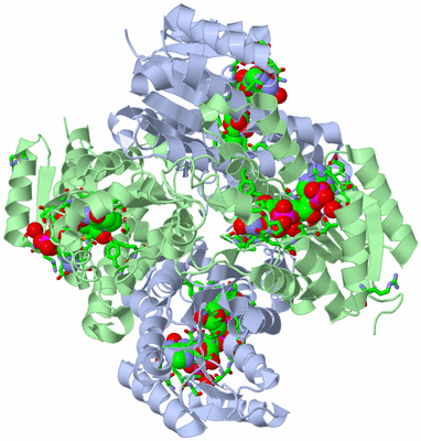 Image Biol. Unit 1 - sites