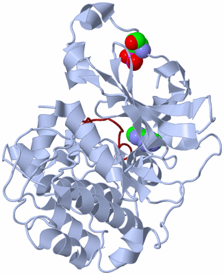 Image Asym./Biol. Unit