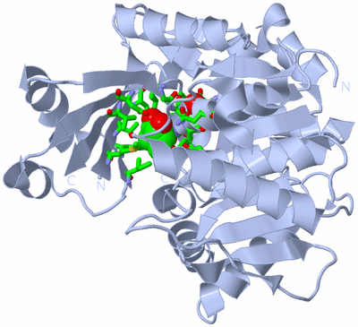 Image Biol. Unit 1 - sites