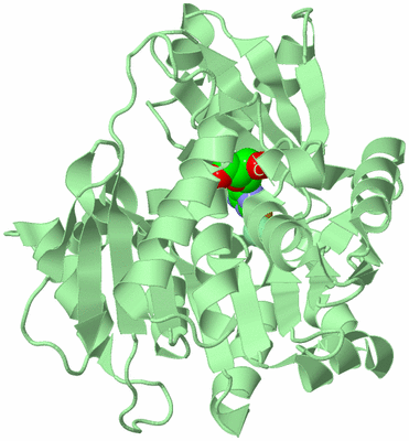 Image Biological Unit 2