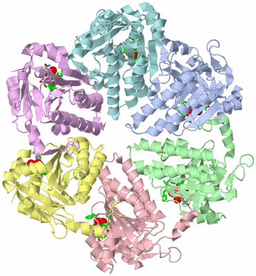 Image Biol. Unit 1 - sites