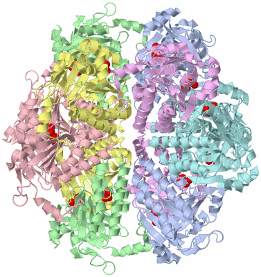 Image Biological Unit 2