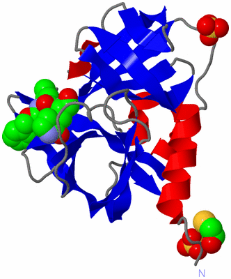 Image Asym./Biol. Unit