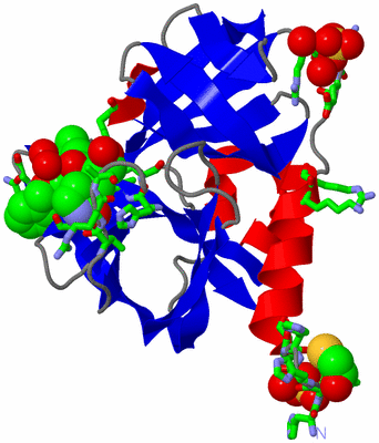 Image Asym./Biol. Unit - sites