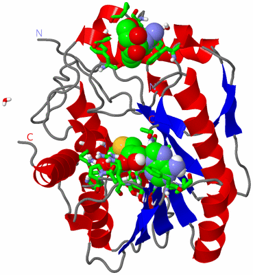 Image Asym./Biol. Unit - sites