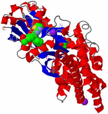 Image Asym./Biol. Unit