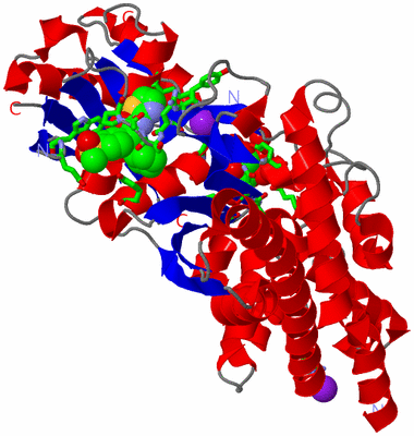 Image Asym./Biol. Unit - sites