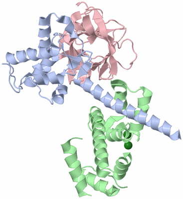 Image Biological Unit 1