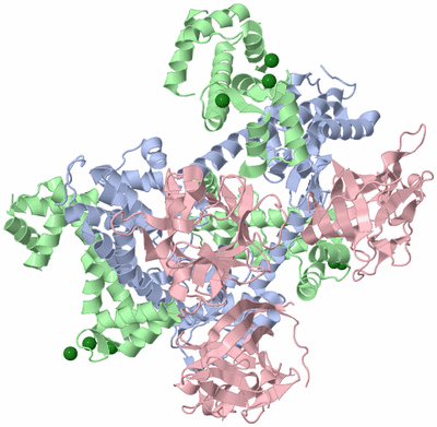 Image Biological Unit 2