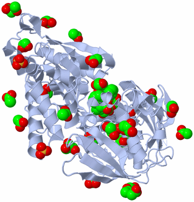 Image Biological Unit 1