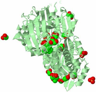 Image Biological Unit 2