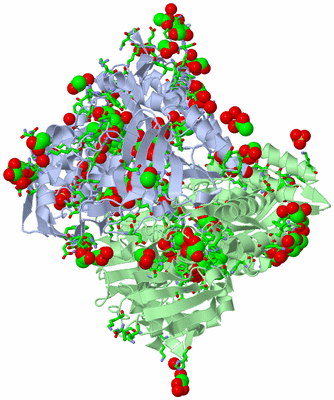 Image Asym. Unit - sites