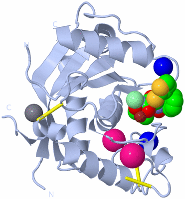 Image Biological Unit 1