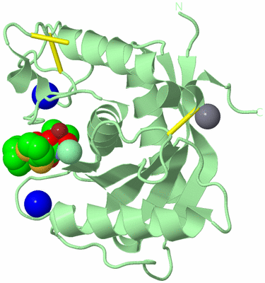 Image Biological Unit 2