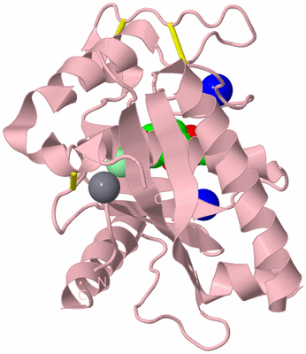 Image Biological Unit 3