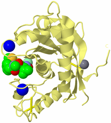 Image Biological Unit 4