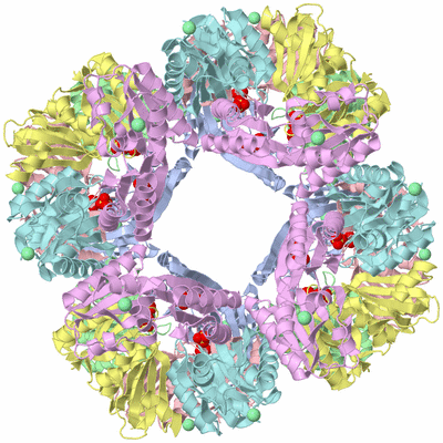 Image Biological Unit 1