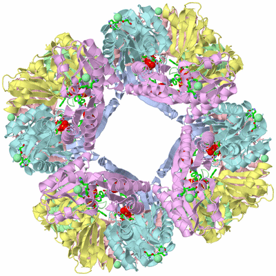 Image Biol. Unit 1 - sites