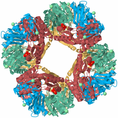 Image Biological Unit 2