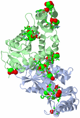 Image Asym./Biol. Unit - sites