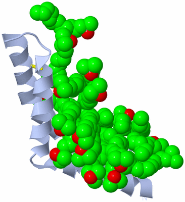 Image Biological Unit 2