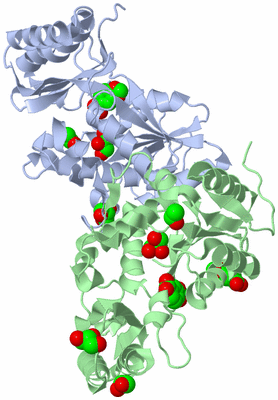 Image Biological Unit 1