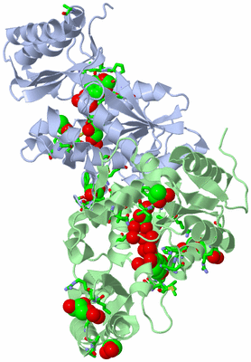 Image Biol. Unit 1 - sites