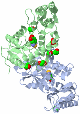 Image Biological Unit 1