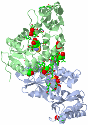 Image Biol. Unit 1 - sites