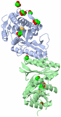 Image Biological Unit 2