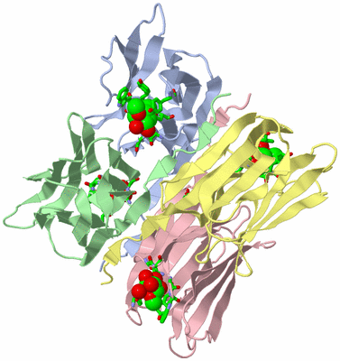 Image Asym./Biol. Unit - sites