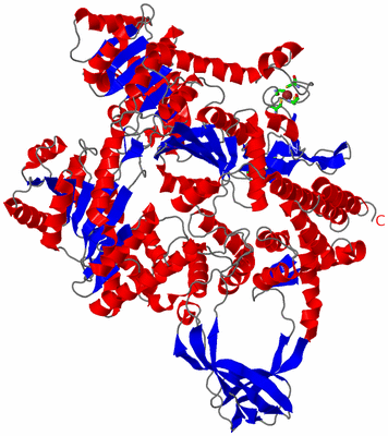 Image Asym./Biol. Unit - sites