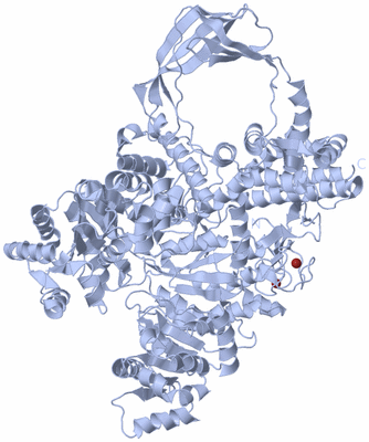 Image Biological Unit 1