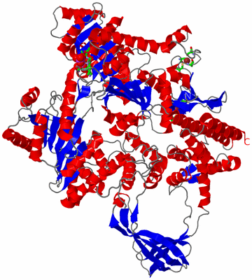 Image Asym./Biol. Unit - sites