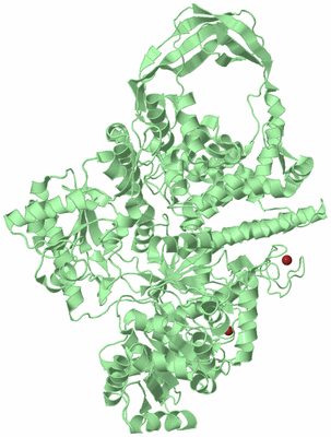 Image Biological Unit 2