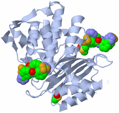 Image Biological Unit 1