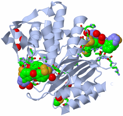 Image Biol. Unit 1 - sites