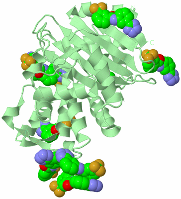 Image Biological Unit 2