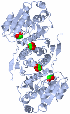 Image Biological Unit 1